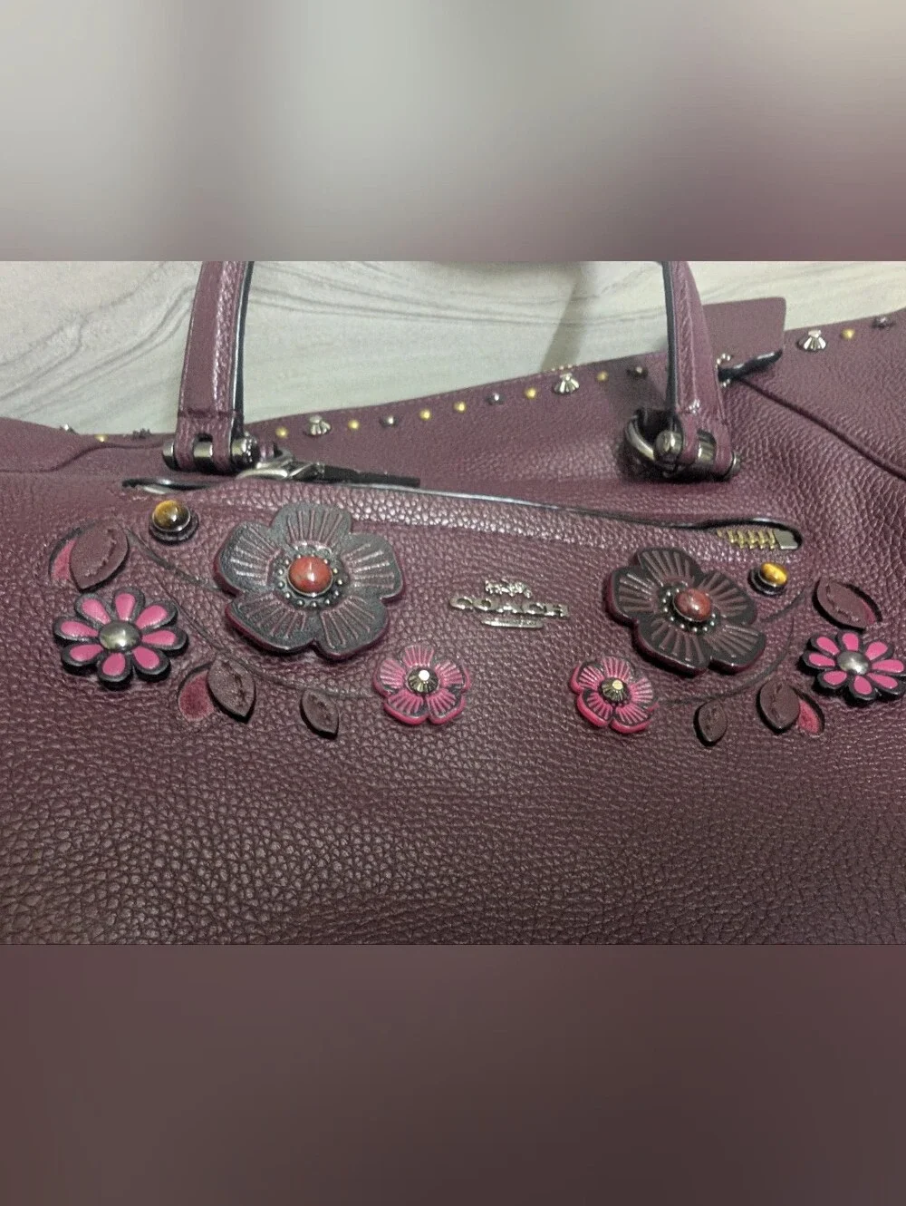 Coach brand color